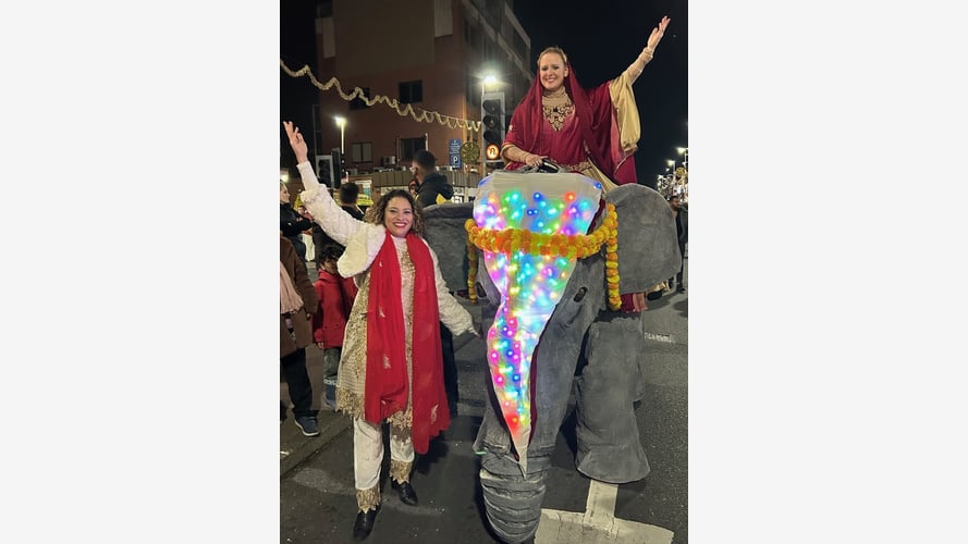 Elephants In The Room