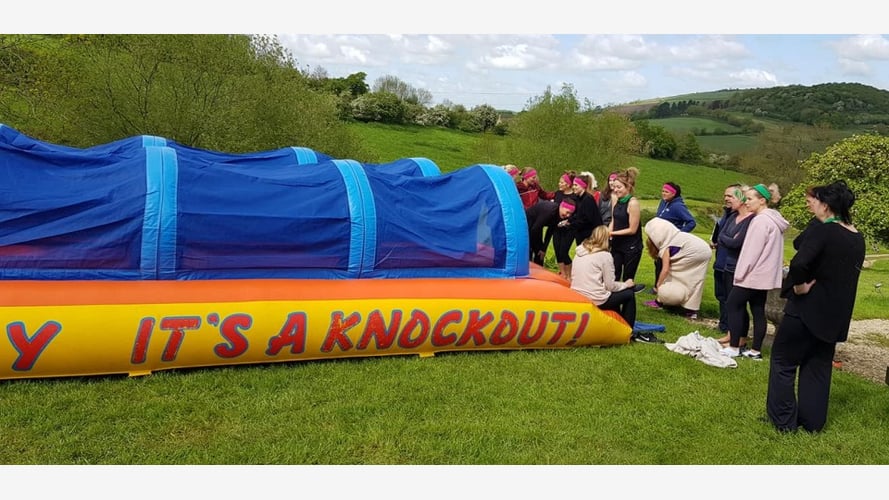 It's A Knockout!