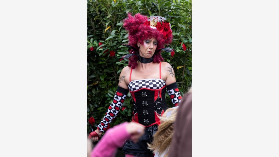 Alice In Wonderland Performers