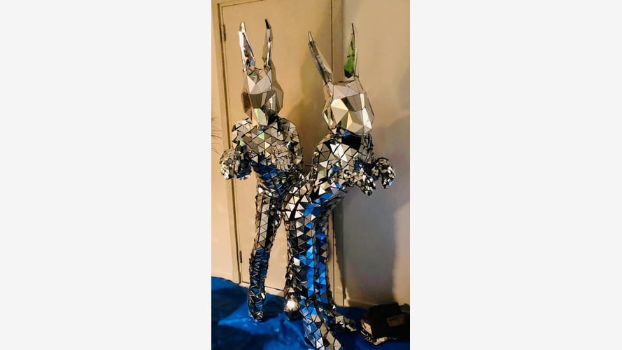 The Mirror Bunnies