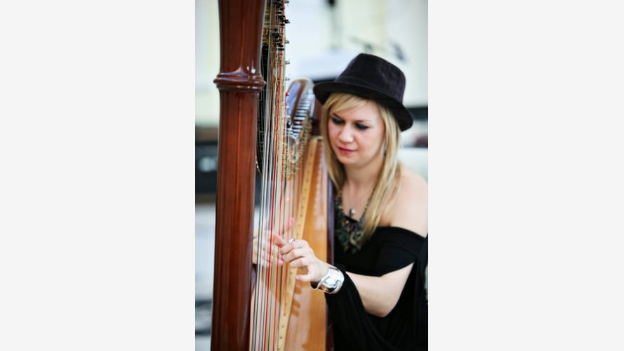 The Oxfordshire Harpist
